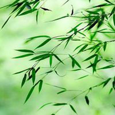 剑灵乾坤手机版(暂未上线)v1.0 安卓最新版